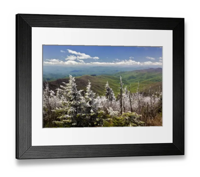 Framed Print : Rim Ice on trees, Great Smoky Mountains National Park, Tennessee