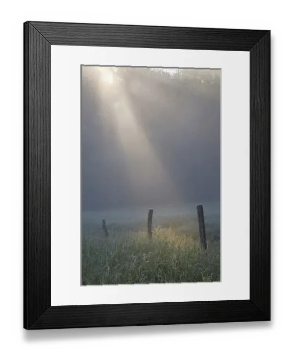 Framed Print : Sunrise on foggy frosty morning, Cades Cove, Great Smoky Mountains National Park Framed Print : Sunrise on foggy frosty morning, Cades Cove, Great Smoky Mountains National Park