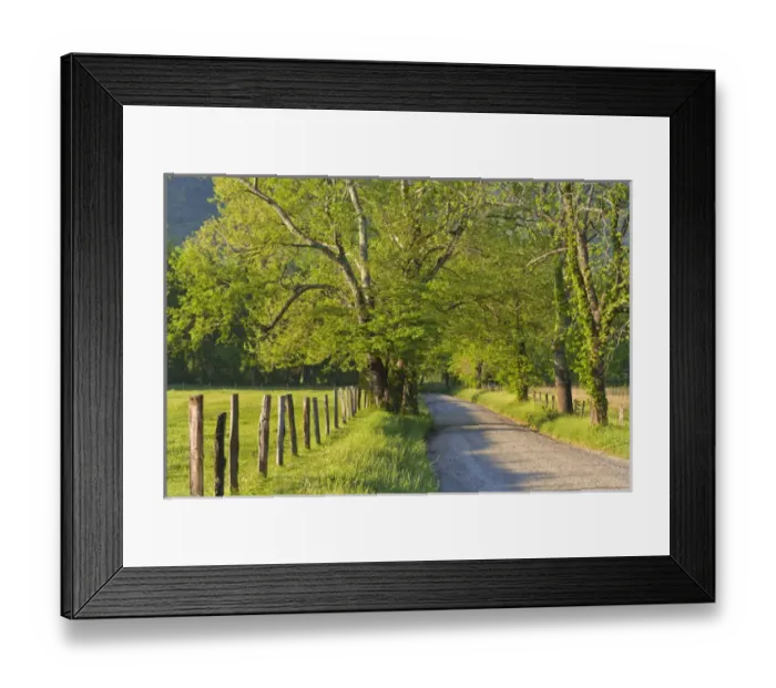 Framed Print : Sparks Lane, Cades Cove, Great Smoky Mountains National Park, Tennessee Framed Print : Sparks Lane, Cades Cove, Great Smoky Mountains National Park, Tennessee