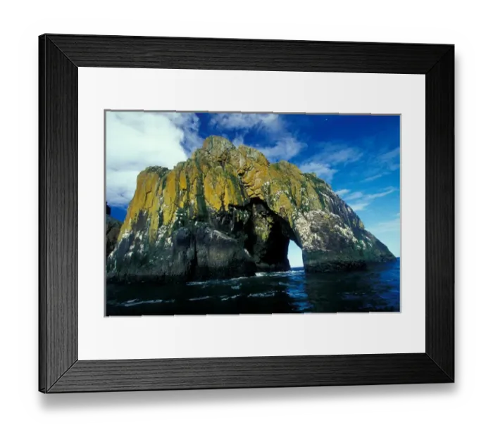 Framed Print : NA, USA, Alaska, Hall Island, Marine scenic Framed Print : NA, USA, Alaska, Hall Island, Marine scenic