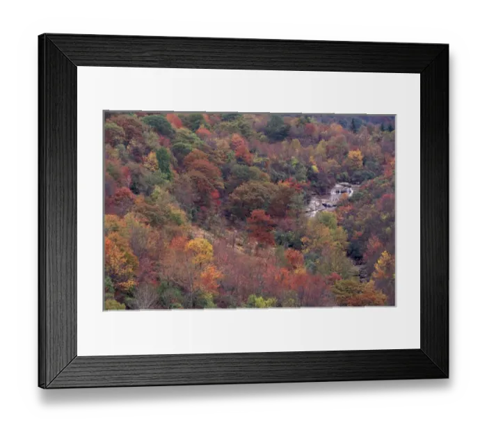 Framed Print : N. A. USA, Tennessee. Great Smokey Mountains National Park. Autumn color in the Smokey Framed Print : N. A. USA, Tennessee. Great Smokey Mountains National Park. Autumn color in the Smokey