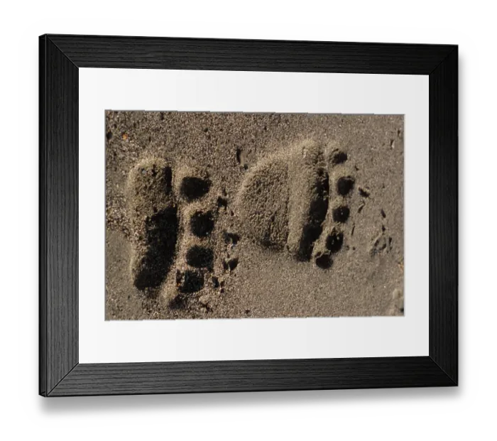 Framed Print : Brown Bear, Ursus arctos, Alaska Peninsula, Alaska, USA, Katmai National Park, Brown Framed Print : Brown Bear, Ursus arctos, Alaska Peninsula, Alaska, USA, Katmai National Park, Brown