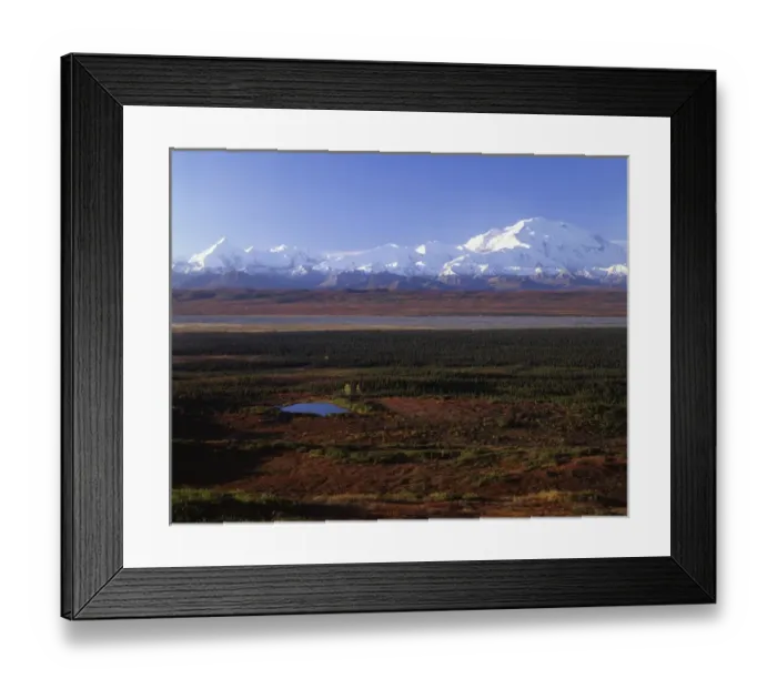 Framed Print : USA, Alaska, Mount McKinley, Fall, Denali National Park