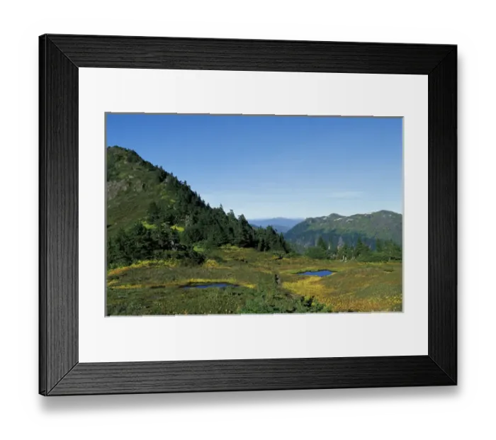 Framed Print : U. S. A. Alaska, Inside Passage Tongass National Forest near Wrangell