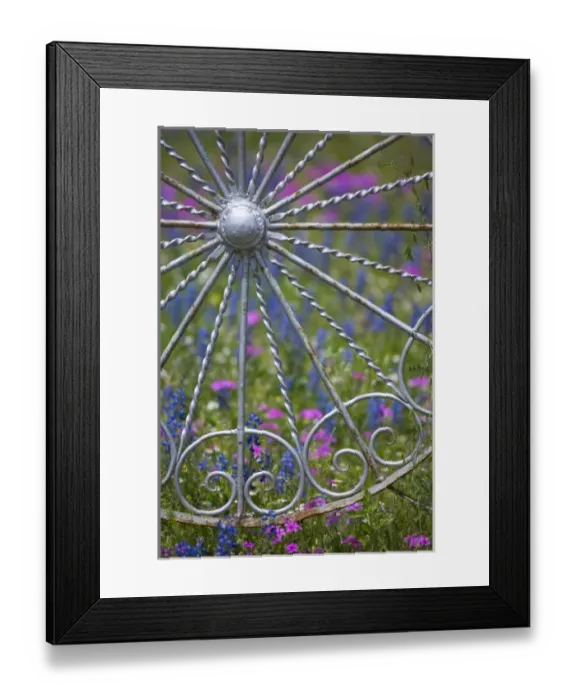 Framed Print : Gate and Fence made out of metal in the design of wheels with backdrop of Texas Wildflowers Framed Print : Gate and Fence made out of metal in the design of wheels with backdrop of Texas Wildflowers
