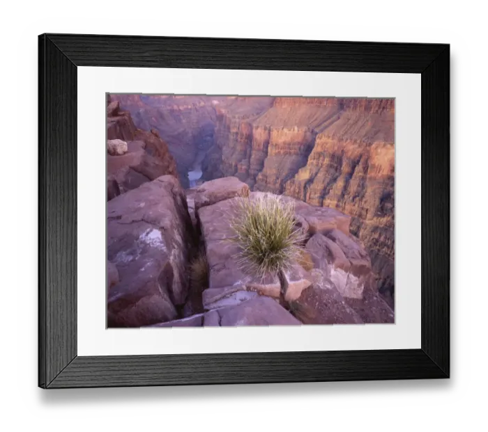 Framed Print : USA, Arizona, Colorado River from Tuweep Overlook, Grand Canyon National Park Framed Print : USA, Arizona, Colorado River from Tuweep Overlook, Grand Canyon National Park