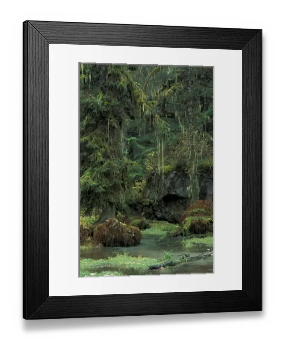 Framed Print : U. S. A. Alaska, Inside Passage Tongass National Forest near Haines