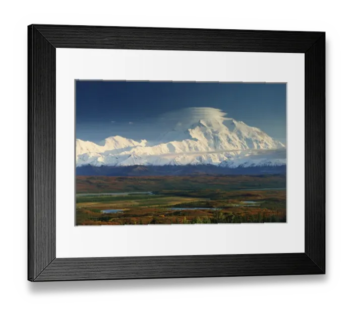 Framed Print : AKS-6 Denali (Mount McKinley) and autumn foliage, Denali National Park, Alaska
