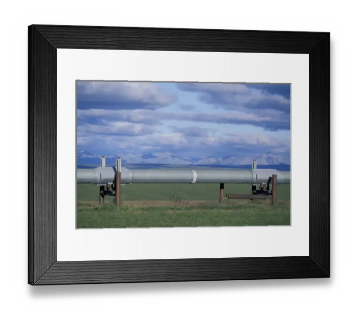 Framed Print : NA, USA, Alaska, north slope of Brooks Range Trans-Alaska Oil Pipeline snakes Framed Print : NA, USA, Alaska, north slope of Brooks Range Trans-Alaska Oil Pipeline snakes