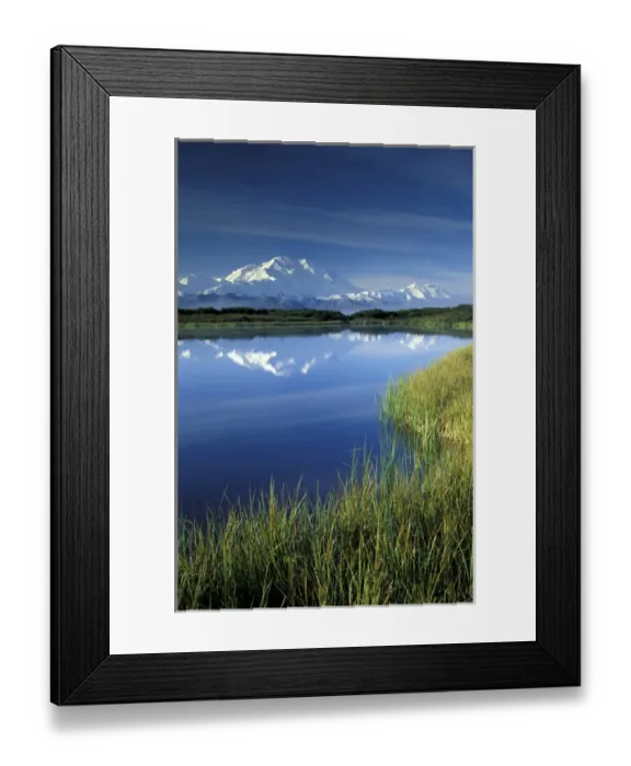 Framed Print : NA, USA, Alaska, Denali NP Mt. McKinley (20, 320 feet) Mountain reflected in Framed Print : NA, USA, Alaska, Denali NP Mt. McKinley (20, 320 feet) Mountain reflected in