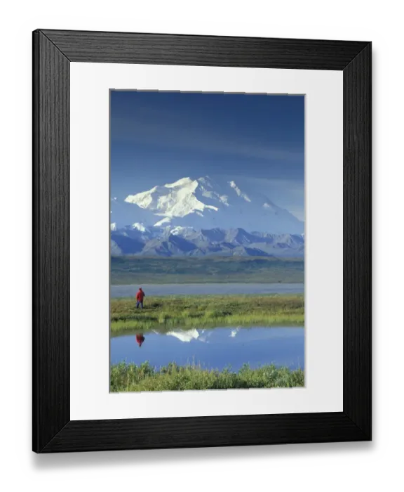 Framed Print : NA, USA, Alaska. Denali National Park. Hiker viewing Mount MicKinley Framed Print : NA, USA, Alaska. Denali National Park. Hiker viewing Mount MicKinley