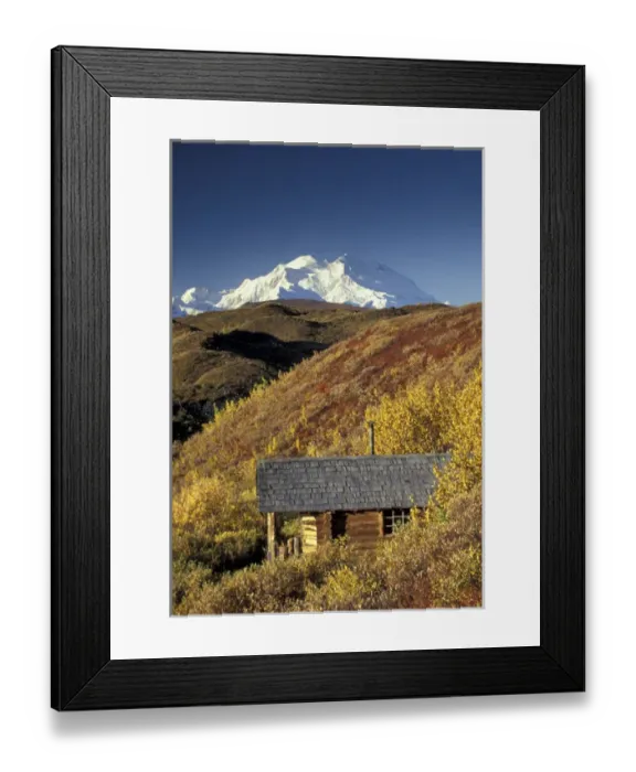 Framed Print : NA, USA, Alaska. Denali National Park. Cabin and Denali