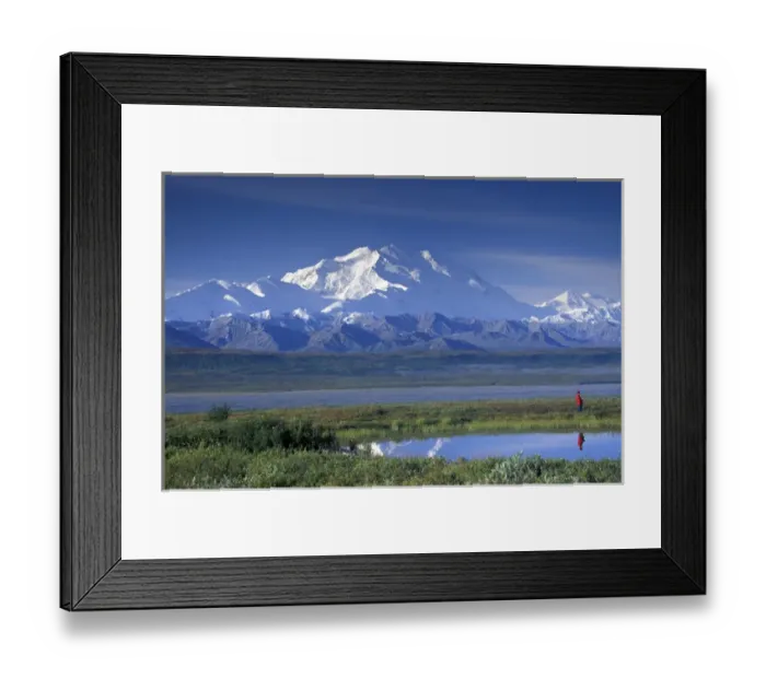 Framed Print : NA, USA, Alaska, Denali NP Mt. McKinley (20, 320 feet) A lone hiker Framed Print : NA, USA, Alaska, Denali NP Mt. McKinley (20, 320 feet) A lone hiker