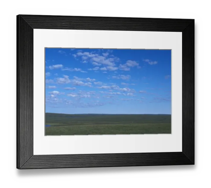Framed Print : NA, USA, Alaska, ANWR, North Slope of the Brooks Range, Arctic Coastal Plain, verdant