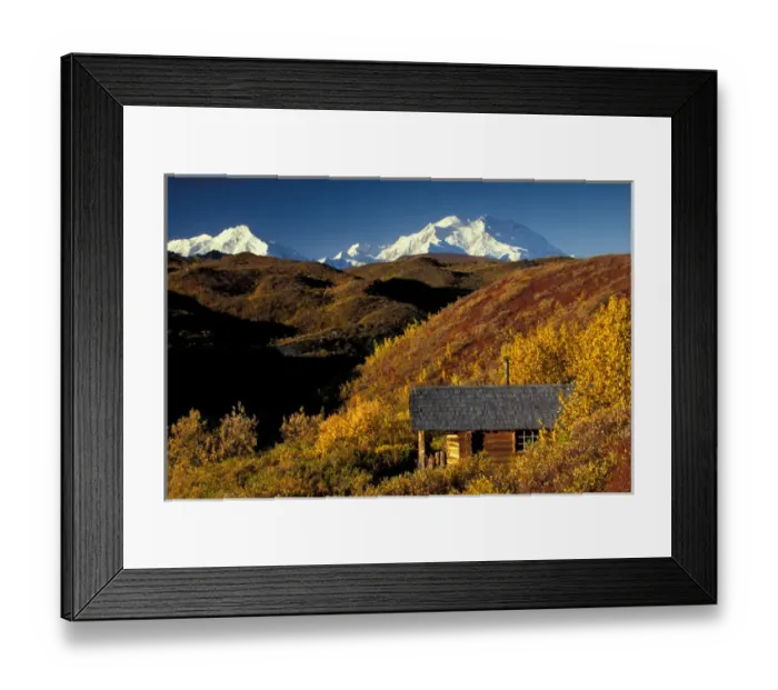 Framed Print : NA, USA, Alaska, Denali NP, Denali, towers over a log cabin on fall tundra