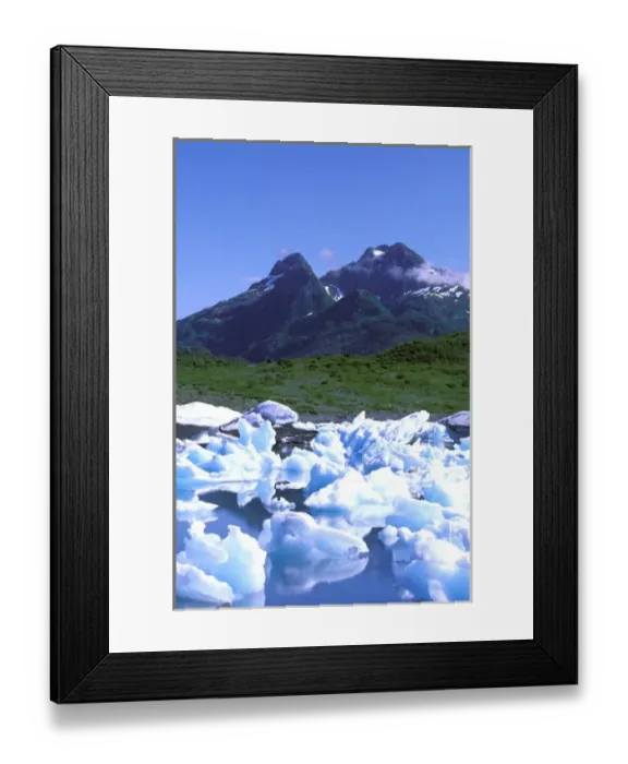 Framed Print : North America, USA, Alaska, Prince William Sound, Columbia Bay. Lush greenery of
