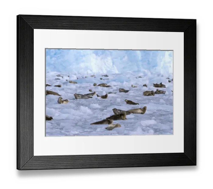 Framed Print : North America, USA, Alaska, Prince William Sound, Chenega Glacier. A group of harbor seals