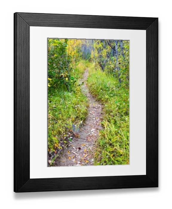 Framed Print : N. A. USA, Alaska. Trail behind Kantishna Roadhouse in Denali National Park Framed Print : N. A. USA, Alaska. Trail behind Kantishna Roadhouse in Denali National Park