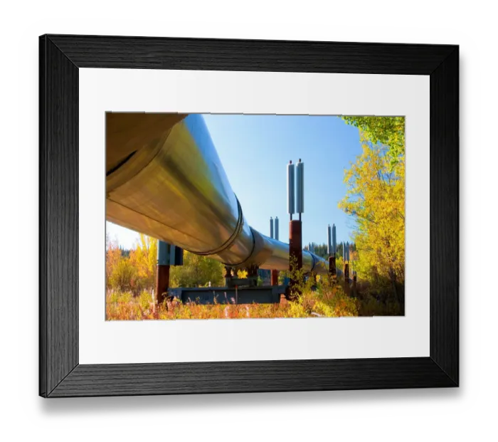Framed Print : N. A. USA, Alaska. The Trans-Alaska Pipeline which transports oil from Prudhoe Bay Framed Print : N. A. USA, Alaska. The Trans-Alaska Pipeline which transports oil from Prudhoe Bay