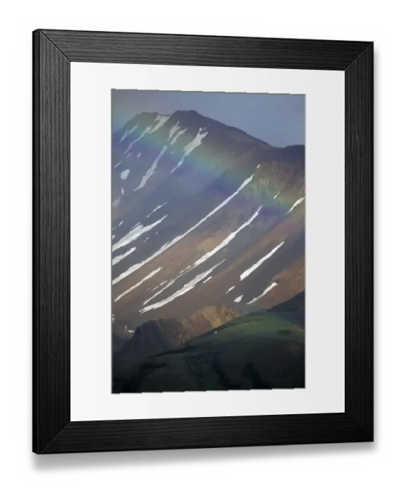 Framed Print : Denali National Park, AK. A rainbow set against the Alaska Range near the Toklat River