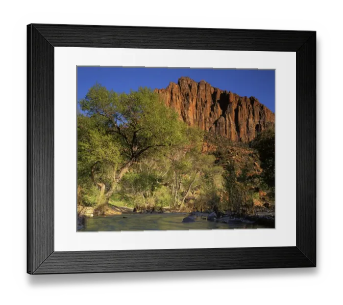 Framed Print : USA, Utah, Zion National Park, Virgin River below the Watchmen