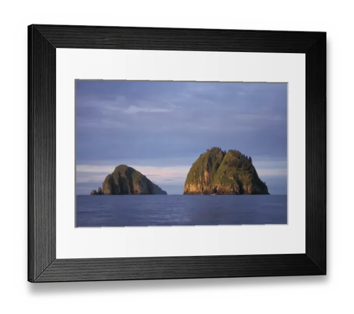 Framed Print : Chiswell Islands National Marine Sanctuary, Alaska Framed Print : Chiswell Islands National Marine Sanctuary, Alaska