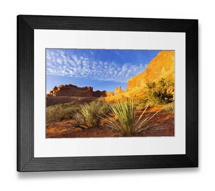 Framed Print : Soaptree yucca plants in Arches National Park, Utah, USA