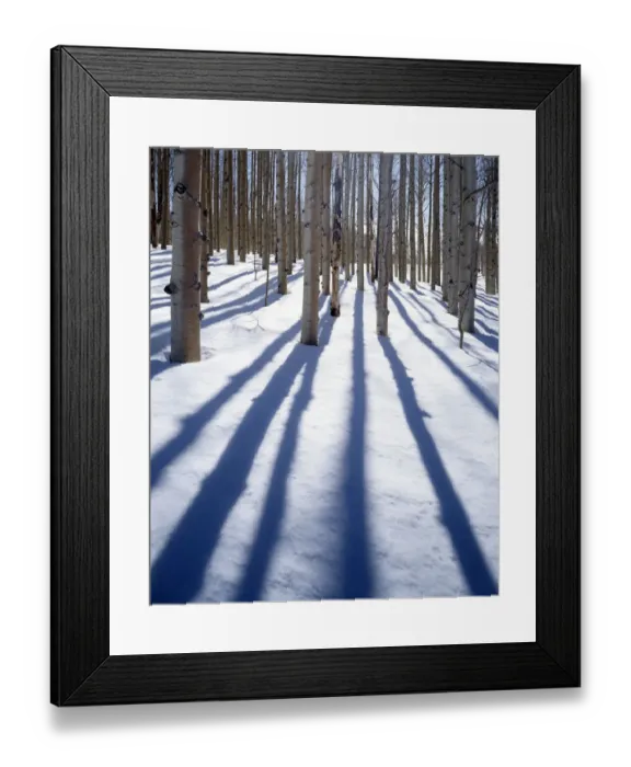 Framed Print : USA, Utah, Dixie Natoinal Forest, Aspen