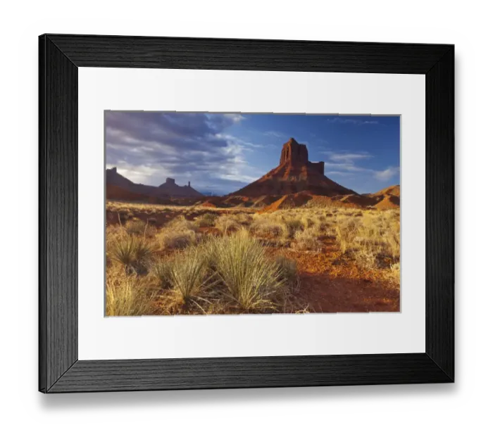 Framed Print : Colorful rocks and grasses in early morning light by Parrott Mesa near Moab, Utah, USA Framed Print : Colorful rocks and grasses in early morning light by Parrott Mesa near Moab, Utah, USA