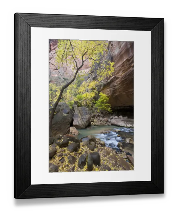 Framed Print : North Fork of Virgin River, Gates of the Narrows, Zion National Park, Utah, Box Framed Print : North Fork of Virgin River, Gates of the Narrows, Zion National Park, Utah, Box