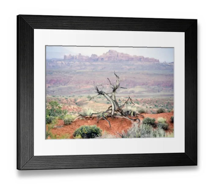 Framed Print : USA, Utah, Arches National Park