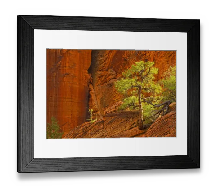 Framed Print : Zion National park, Utah