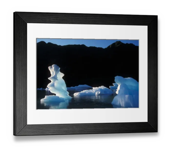 Framed Print : glaciers in Bear Glacier Lake, Kenai Fjords National Park, Alaska Framed Print : glaciers in Bear Glacier Lake, Kenai Fjords National Park, Alaska