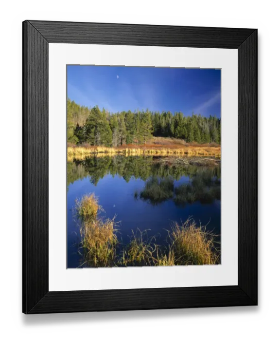 Framed Print : a Scott T. Smith 435 753-3446 All Rights Reserved UTAH, USA. Moon above beaver Framed Print : a Scott T. Smith 435 753-3446 All Rights Reserved UTAH, USA. Moon above beaver