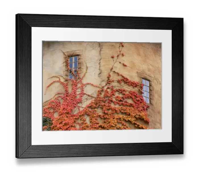 Framed Print : Utah. USA. Detail of round tower & Virginia creeper. La Caille at Quail Run in autumn