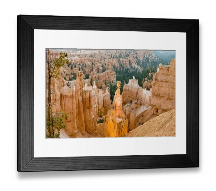 Framed Print : Thors Hammer. Hoodoo. Bryce Canyon National Park. Utah. US Framed Print : Thors Hammer. Hoodoo. Bryce Canyon National Park. Utah. US