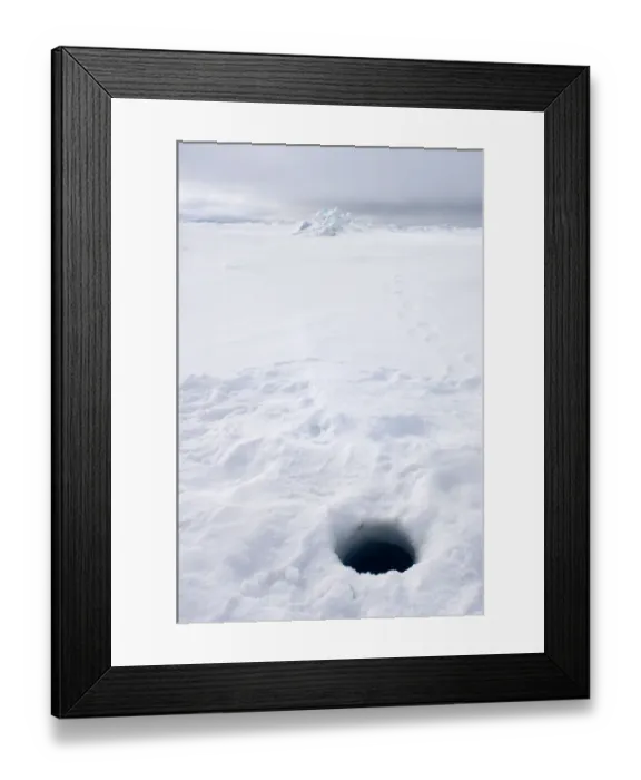 Framed Print : seal hole on the frozen Chuckchi Sea, off shore from Point Barrow, Arctic Alaska Framed Print : seal hole on the frozen Chuckchi Sea, off shore from Point Barrow, Arctic Alaska