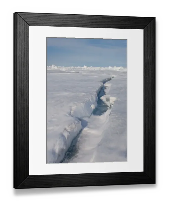 Framed Print : beginnings of an open lead on the frozen Chuckchi Sea, off Point Barrow, Arctic Alaska Framed Print : beginnings of an open lead on the frozen Chuckchi Sea, off Point Barrow, Arctic Alaska