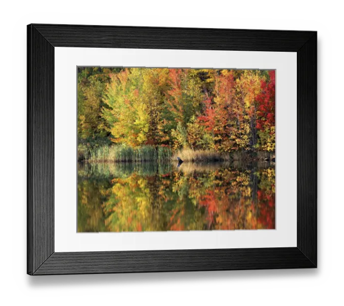 Framed Print : USA, Vermont, Green Mountain National Forest, Pond Framed Print : USA, Vermont, Green Mountain National Forest, Pond