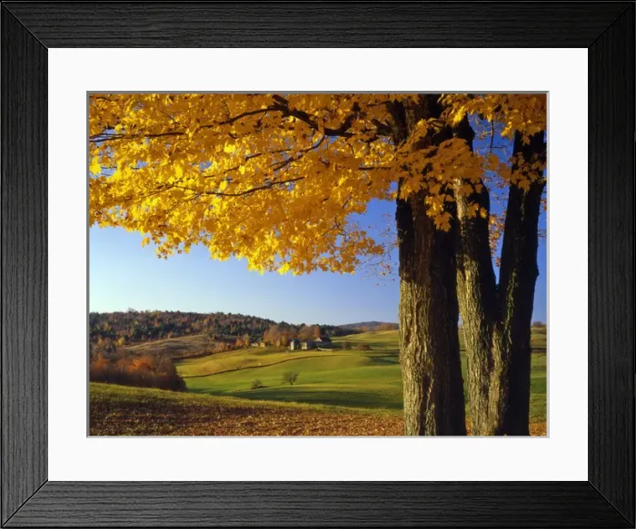 Framed Print : USA, Vermont. Farm scenic near South Woodstock. Credit as: Steve Terrill / Jaynes Framed Print : USA, Vermont. Farm scenic near South Woodstock. Credit as: Steve Terrill / Jaynes