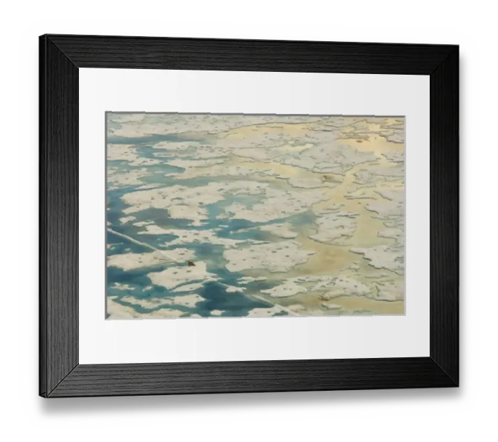 Framed Print : ringed seal, Phoca hispida, on multi-layer ice (fresh water pans formed over years Framed Print : ringed seal, Phoca hispida, on multi-layer ice (fresh water pans formed over years