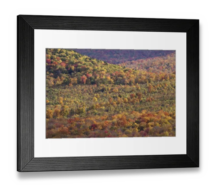Framed Print : Autumn in Vermont Framed Print : Autumn in Vermont