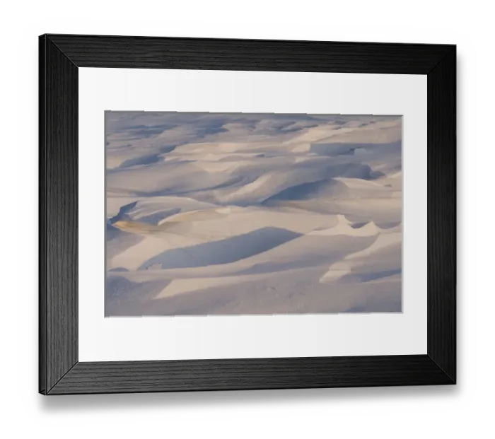 Framed Print : North America, USA, Alaska, 1002 Coastal Plain of the Arctic National Wildlife Refuge Framed Print : North America, USA, Alaska, 1002 Coastal Plain of the Arctic National Wildlife Refuge
