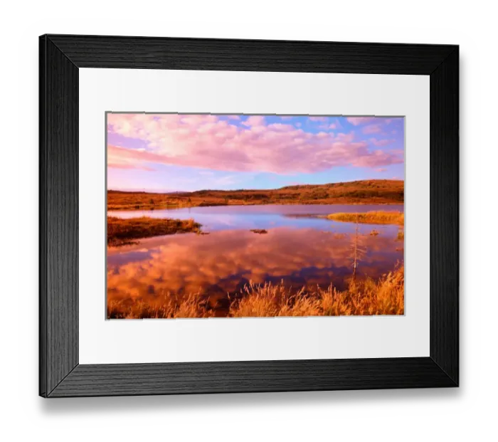 Framed Print : NA, USA, Alaska, Denali National Park