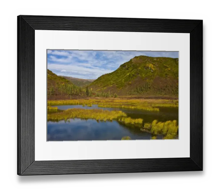 Framed Print : North America, USA, Alaska, Denali National Park, Wonder Lake Area