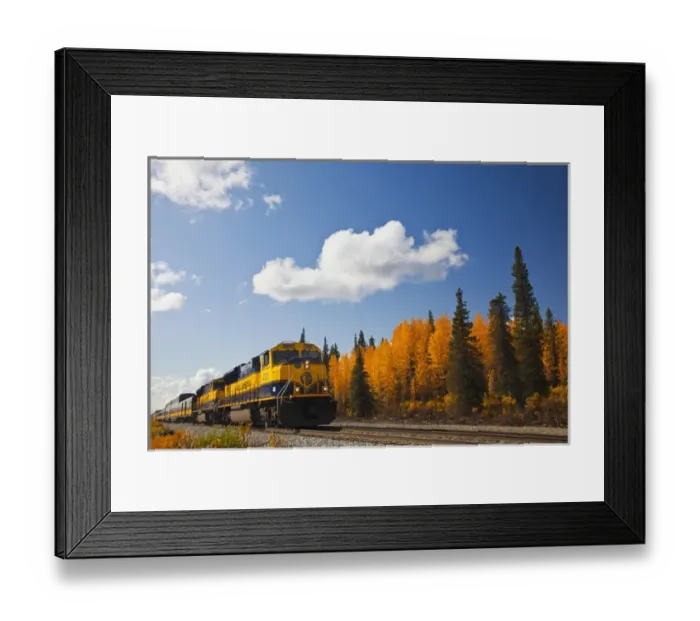 Framed Print : North America, USA, Alaska, Alaska Train in Autumn Color along the Parks Hyw