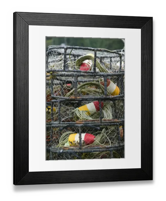 Framed Print : USA-ALASKA-Southeast Alaska-JUNEAU Area: TEE HARBOR  /  Crabbing nets  /  Pots