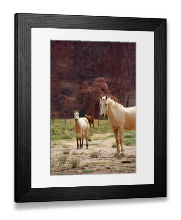 Framed Print : North America, USA, Arizona, Navajo Indian Reservation, Chinle, Canyon de Chelly National Monument Framed Print : North America, USA, Arizona, Navajo Indian Reservation, Chinle, Canyon de Chelly National Monument