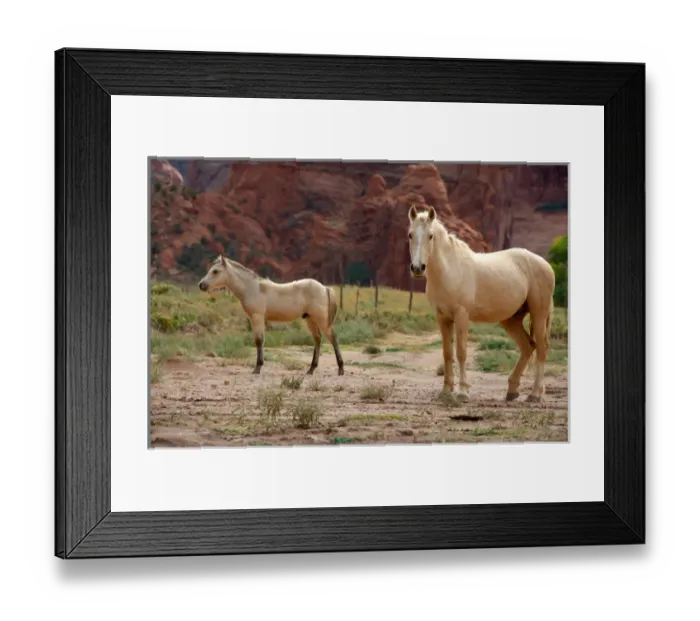 Framed Print : North America, USA, Arizona, Navajo Indian Reservation, Chinle, Canyon de Chelly National Monument