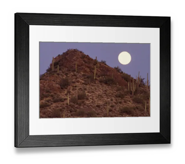 Framed Print : USA, Arizona, Sonora Desert Framed Print : USA, Arizona, Sonora Desert